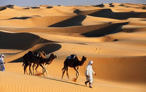 8 Days Tour from Casablanca to Marrakech via Desert