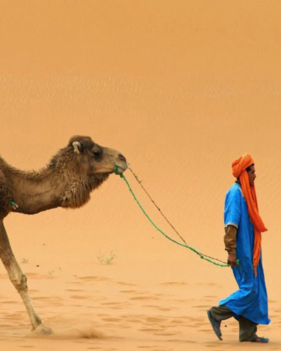 8 Days trip from Marrakech to Desert via Merzouga
